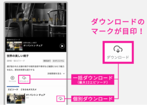 Paravi パラビ 無料 視聴方法 期間 確認 動画DL 仕方
